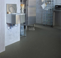 Forbo SafeStep R11 174282 dragon фото 2 | FLOORDEALER